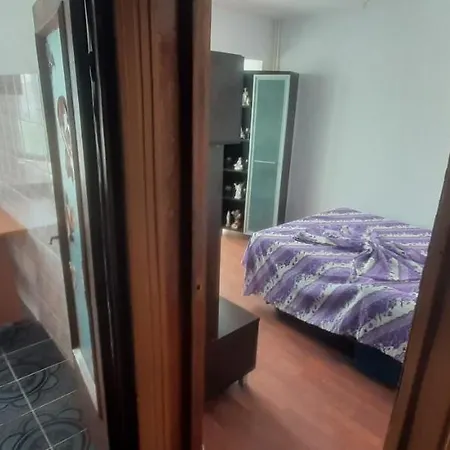 Apartament Estival Strada Pictor Tonitza Etaj 3 Appartement
